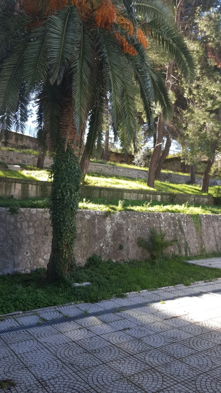 asilo-nido-via-gramsci-matera-2